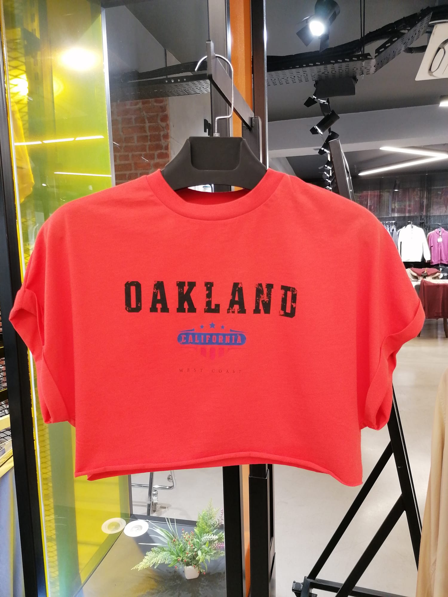 NBW TW BTS 1029 BASKILI CROP T-SHIRT-Nar çiçeği